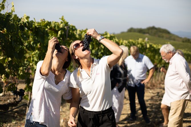 Winery tour & wine tasting in Montalcino - Should you book Corte Pavone?