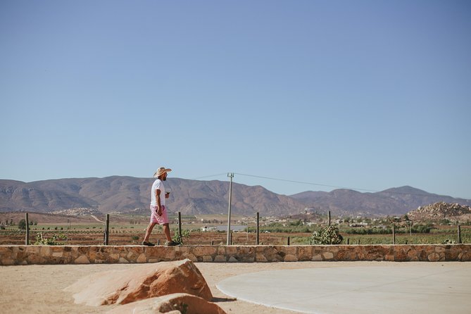 Xecue Wine Tasting in the Guadalupe Valley - The open-air setting and the food option