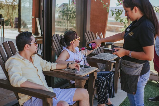 Xecue Wine Tasting in the Guadalupe Valley - How much value does the one-hour visit offer?