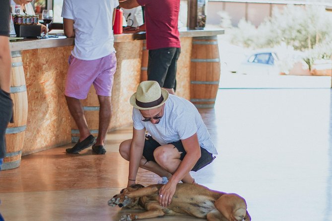 Xecue Wine Tasting in the Guadalupe Valley - Who will enjoy Xecue most?