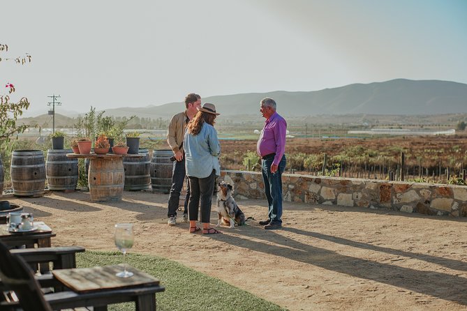 Xecue Wine Tasting in the Guadalupe Valley - Booking, cancellation, and practical planning