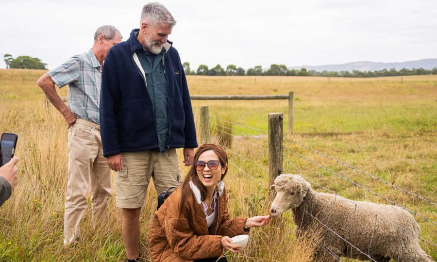 Yarra Valley Full Day Grazing Tour: Gin, Wine, Pizza, Cheese - An hour to slow down in Healesville