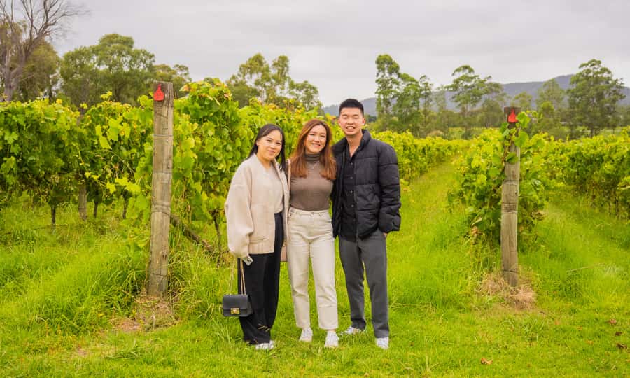 Yarra Valley Full Day Grazing Tour: Gin, Wine, Pizza, Cheese - Eight chocolates at the Yarra Valley Chocolaterie