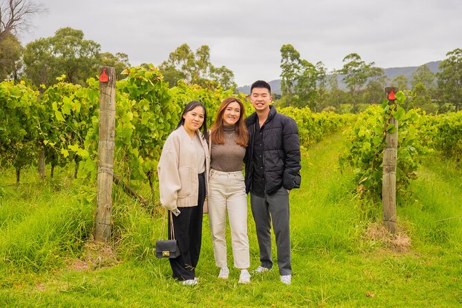 Yarra Valley Grazing Tour Wine, Cheese, Gin, Pizza from Melbourne - Coldstream Dairy and a farm-made cheese board