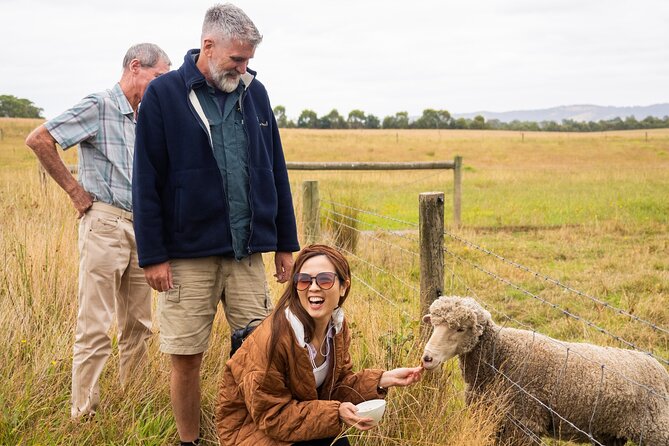 Yarra Valley Grazing Tour Wine, Cheese, Gin, Pizza from Melbourne - Yarra Valley Chocolaterie and the final sweet stop