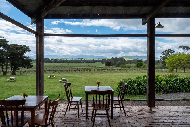Yarra Valley Wine & Winery Tour from Melbourne - All Inclusive! - Timing, pickup, and practical details