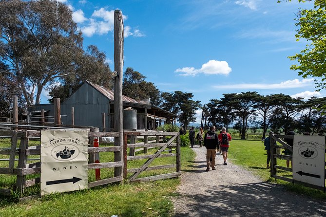 Yarra Valley Wine & Winery Tour from Melbourne - All Inclusive! - Tastings that suit curious drinkers, not just wine experts